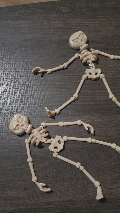 Articulated Skeleton